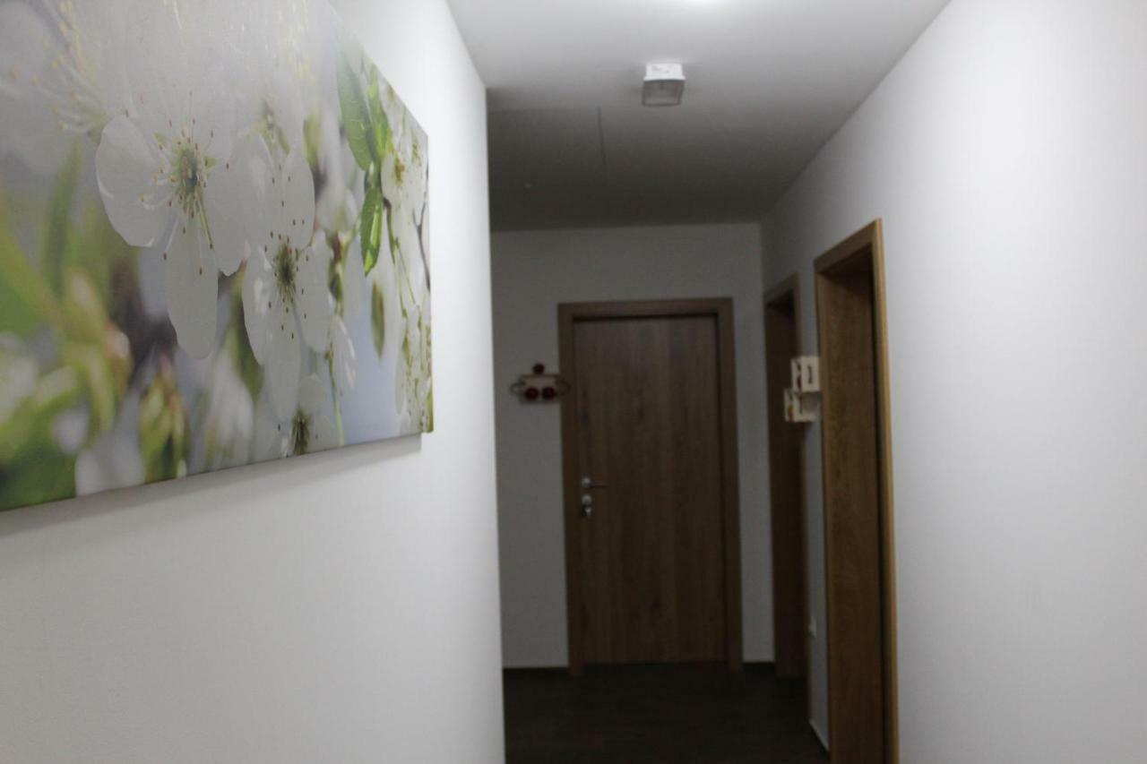 Vdovic Guest House Svecina Dış mekan fotoğraf